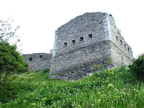 Castle tower