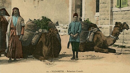 10. الناصرة - جمال فلسطين