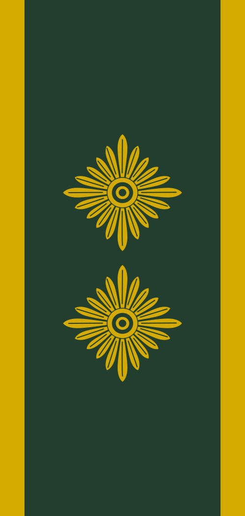 شرطة الدنمارك