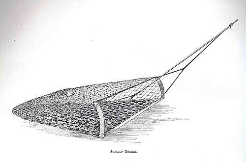 جرافة المحار، 1889