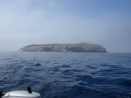 Ile des Phoques من الجنوب