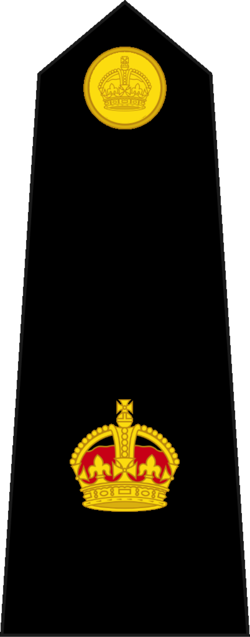 رئيسي