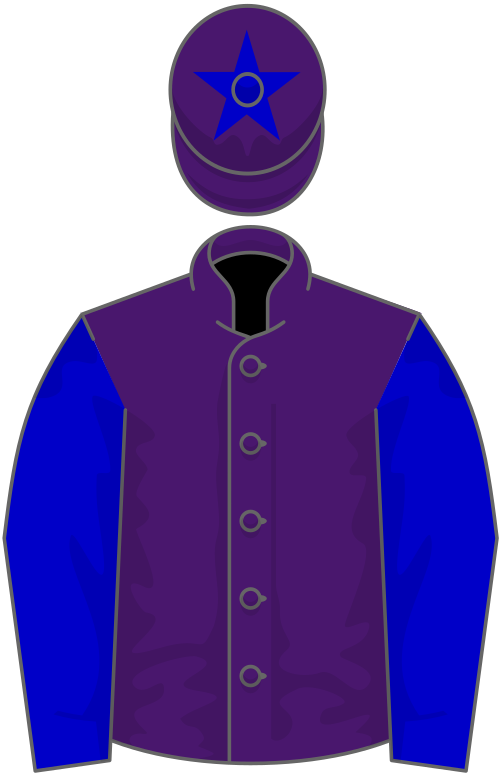 Purple, blue sleeves, purple cap, blue star
