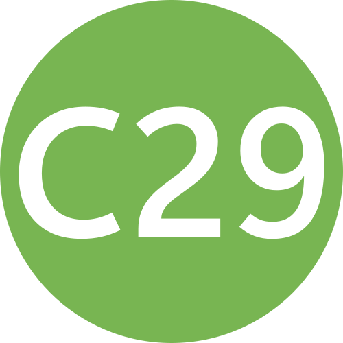 C29
