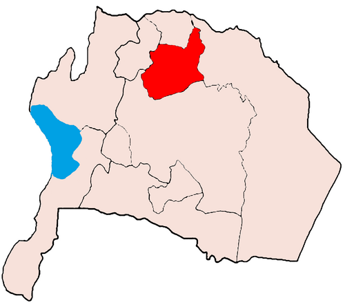 قسم القصر