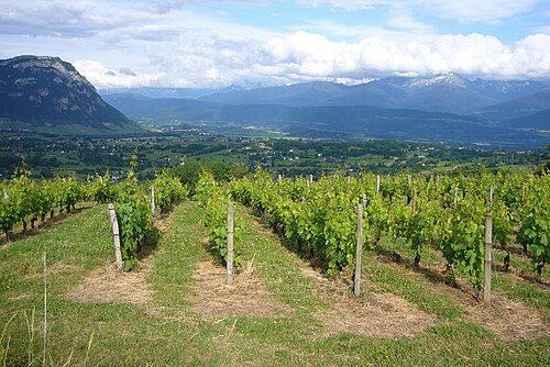 La Cluse de Chambéry وla Combe de Savoie كما يمكن رؤيته من أبريمونت