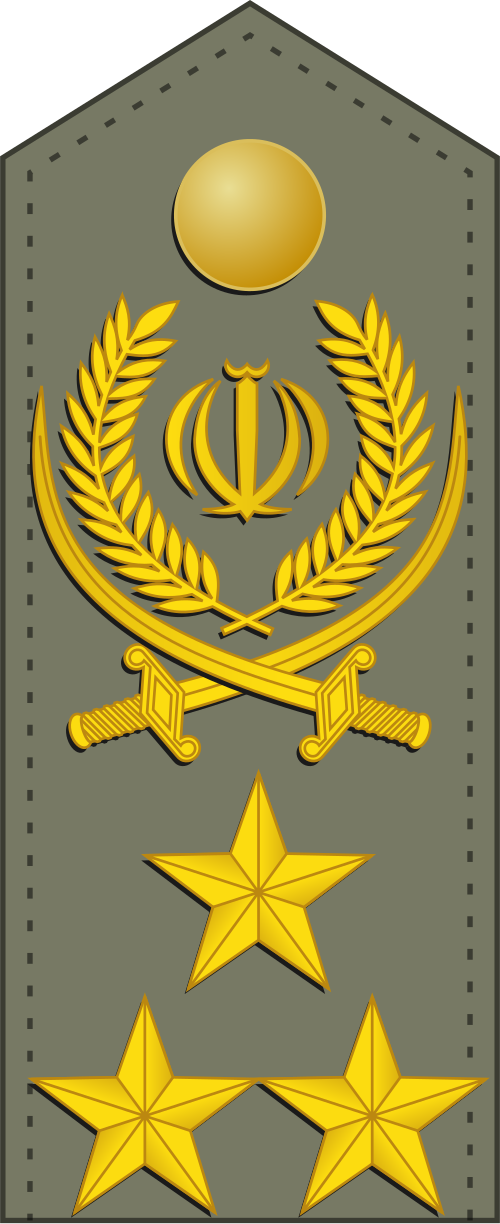 الفريق