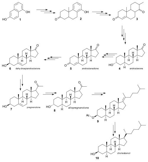 تخليق الكوليسترول روبنسون