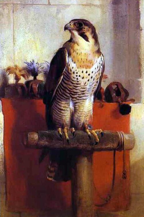 فالكون، 1837