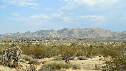 منظر باتجاه الجنوب لمركز مدينة جوشوا تري أمام جبال منتزه جوشوا تري الوطني