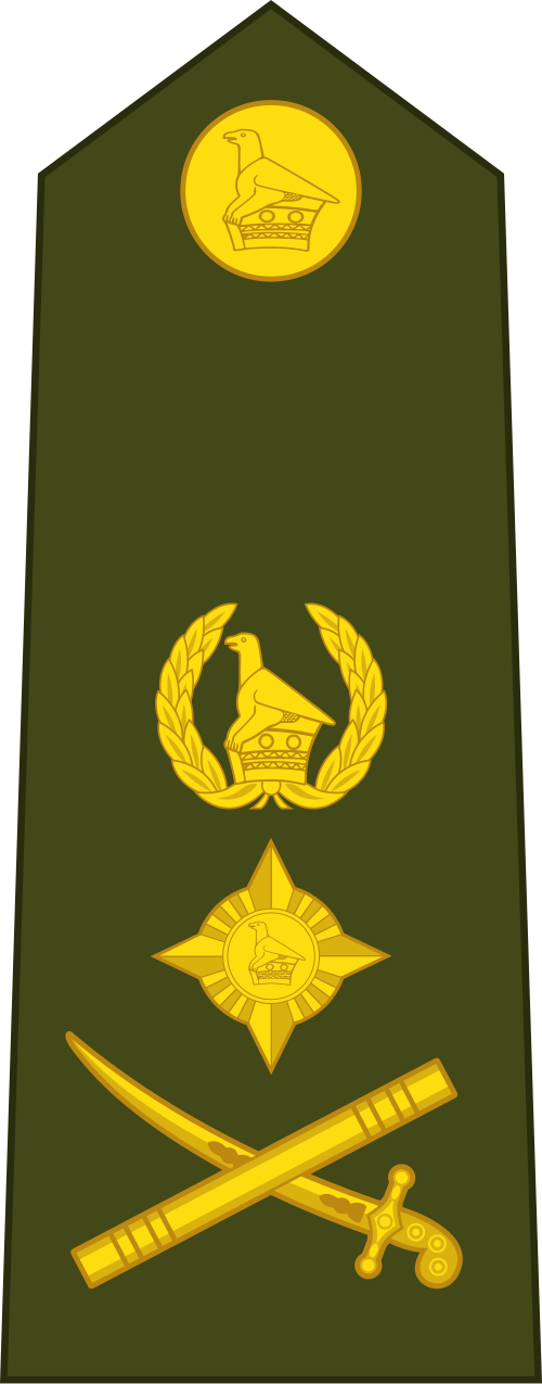 جنرال (الجيش الوطني الزيمبابوي)
