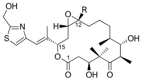 إيبوثيلون E (R = H) و F (R = Me)
