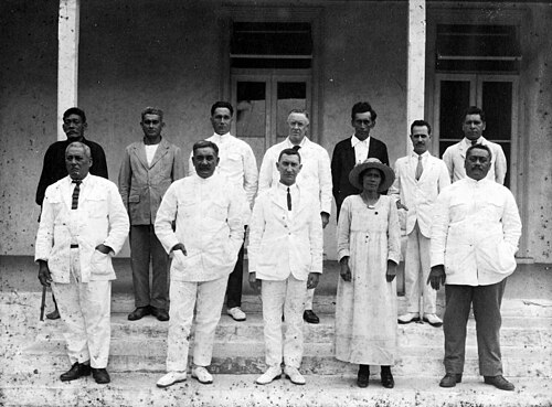 مجلس جزيرة راروتونغا (1923–1925)