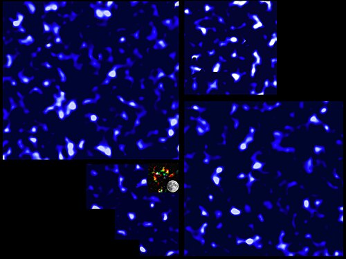 خريطة DM من مسح العدسات CFHT (CFHTLenS) باستخدام تلسكوب كندا-فرنسا-هاواي (2012) (خريطة COSMOS في المركز)
