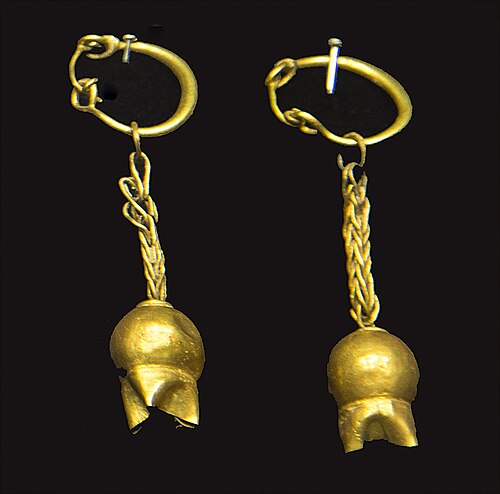 Earrings