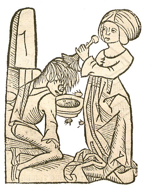 الكتاب الثاني، الفصل 119. قملة الرأس (Pediculus)