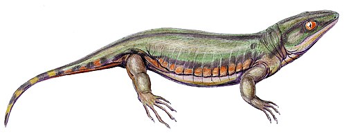 توديتانوس، "microsaur" tuditanid