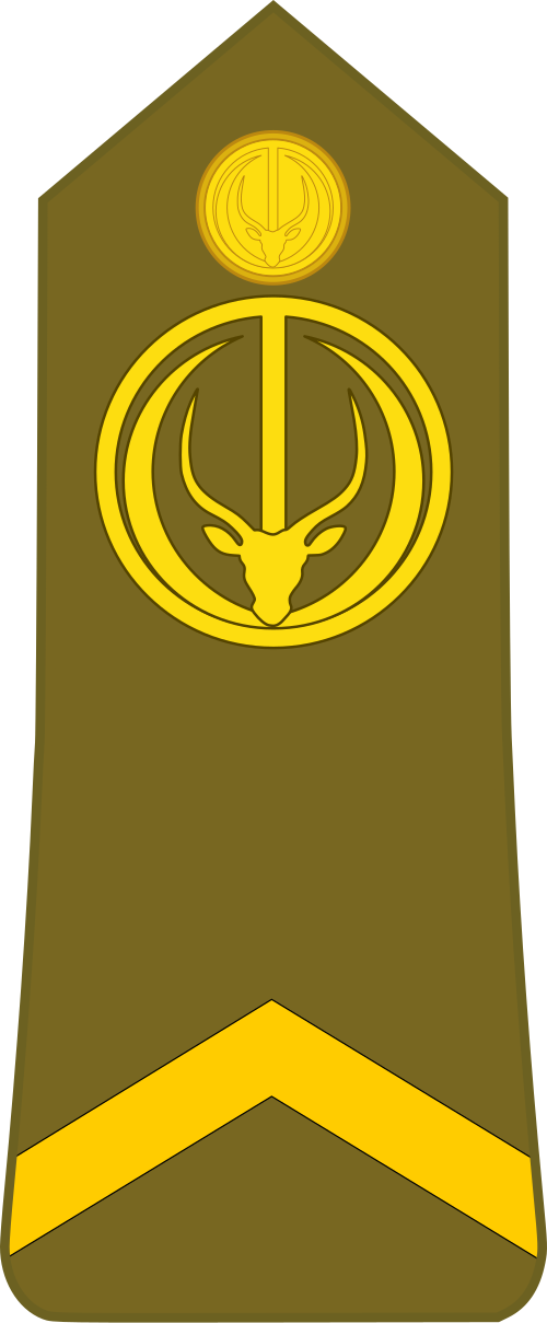 رقيب (القوات البرية التشادية)