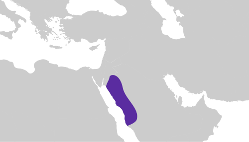 كاروسو