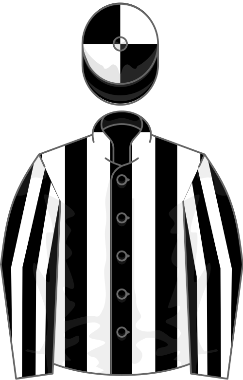 BLACK and WHITE STRIPES, quartered cap
