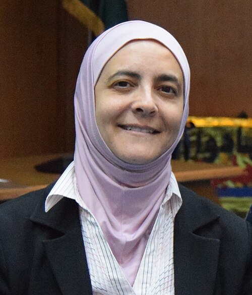 رنا دجاني تبتسم وهي ترتدي حجاباً وردياً في غرفة اجتماعات.