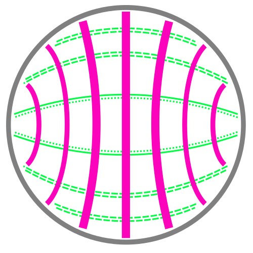TE1,1 mode of a circular hollow metallic waveguide.