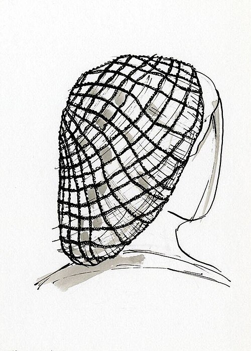 رسم تخطيطي لشبكة شعر