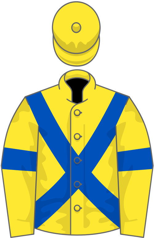 Yellow, royal blue cross belts and armlets