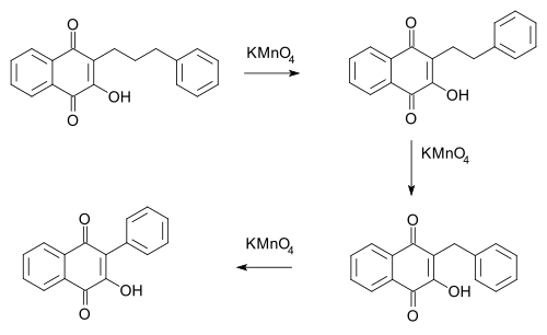 رد فعل العاهرة