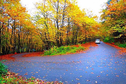 حديقة راشت سارافان