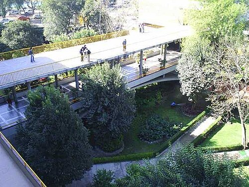 حدائق كلية الهندسة