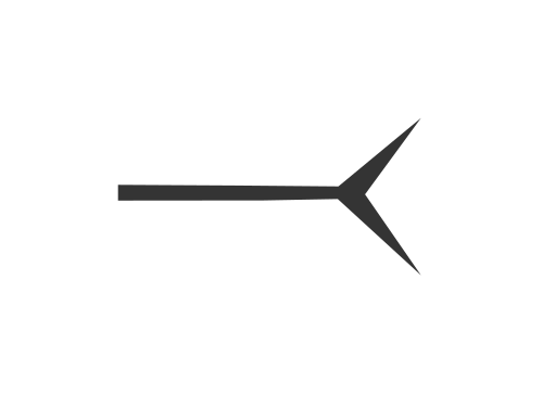 800