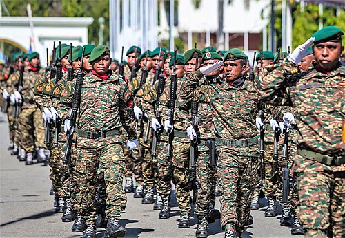 صورة لمجموعة من الرجال يرتدون الزي العسكري ويسيرون في تشكيل متقارب