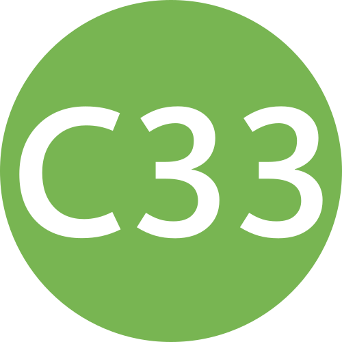 C33