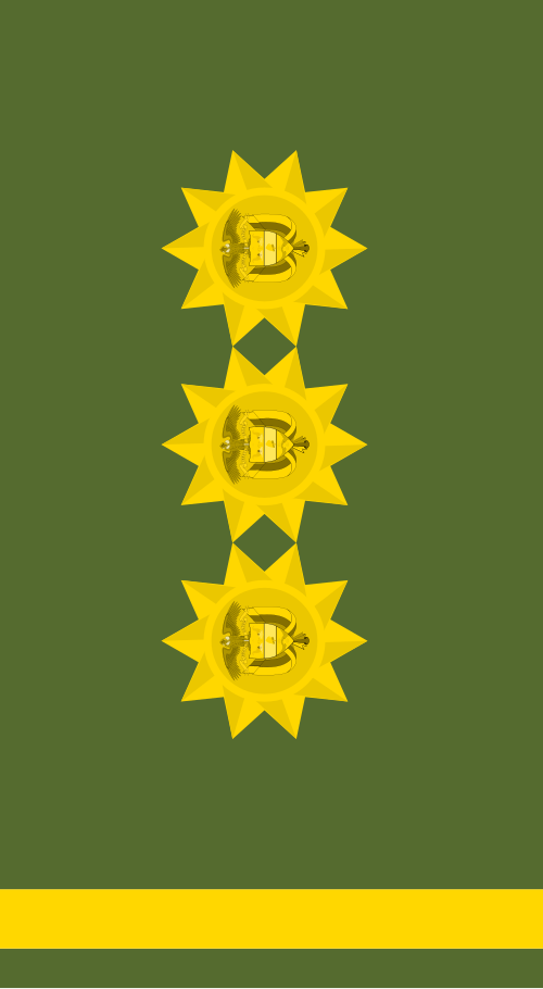 الفريق