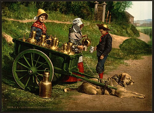 صورة فوتوغرافية ملونة لبائعي الحليب البلجيكيين مع عربة تجرها الكلاب، حوالي 1890-1900