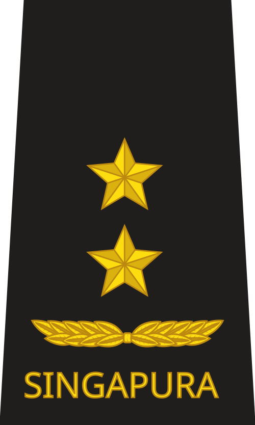 لواء بحري (بحرية جمهورية سنغافورة)