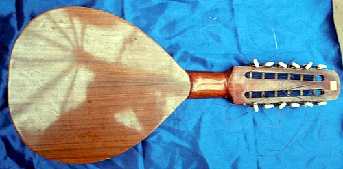 باندوريا (منظر خلفي)