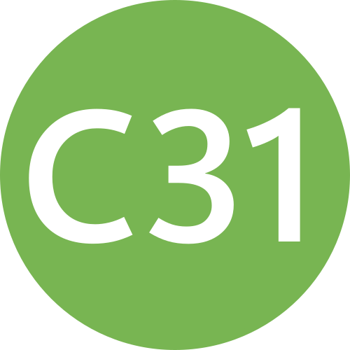 C31