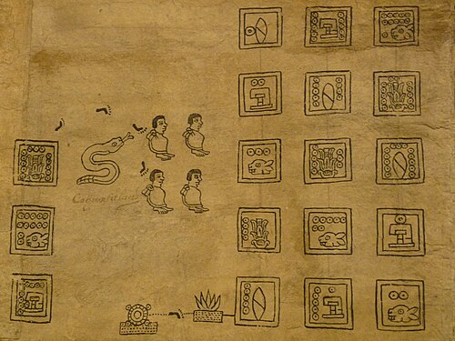الصفحة 13