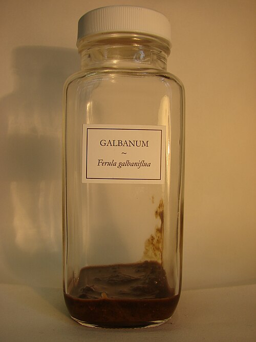 زجاجة تحمل ملصق "Galbanum – Ferula galbaniflua" تحتوي على كتلة لزجة بنية داكنة.