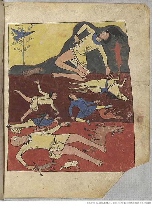 الطوفان