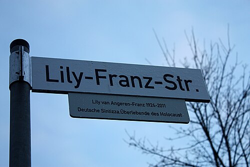 صورة للوحة شارع مكتوب عليها Lily-Franz-Straße