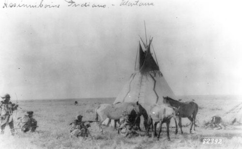 قبيلة أسينيبوين في مونتانا، 1890-1891