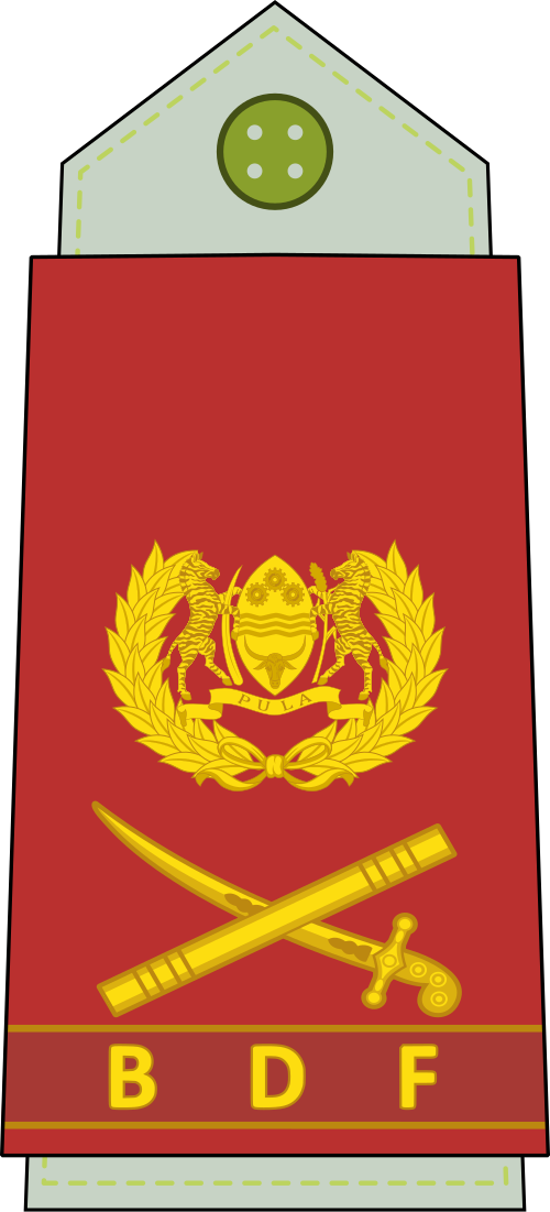 لواء (القوات البرية البوتسوانية)