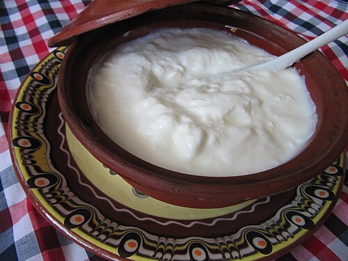 الزبادي