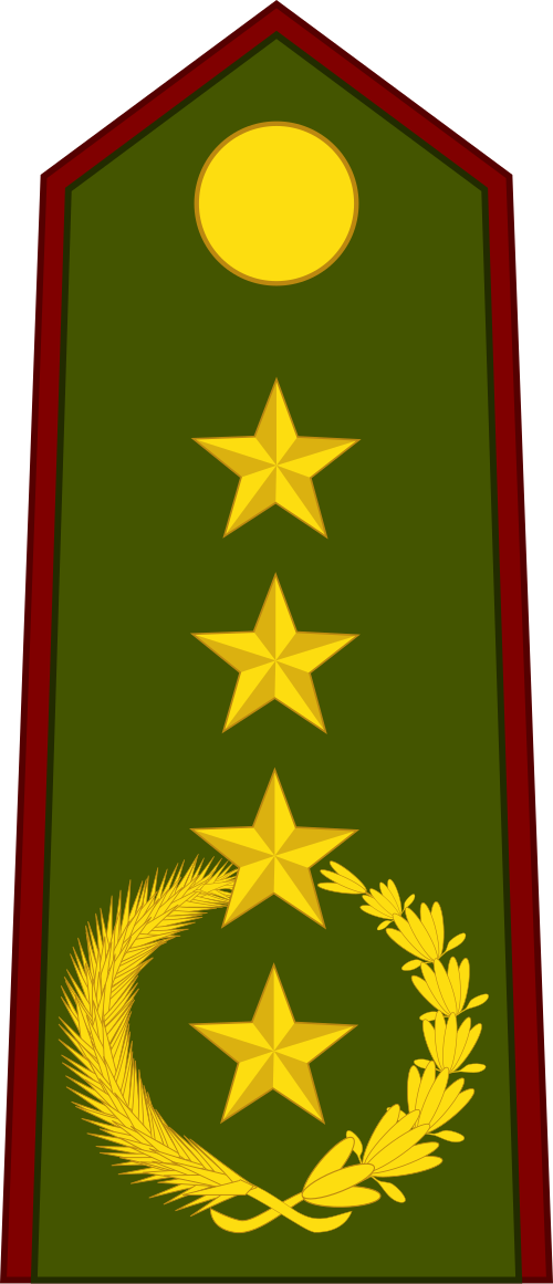 الجنرال دي ejército (جيش باراغواي)