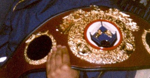 حزام بطولة WBO