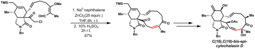 يستخدم التخليق الكلي لـ C(16),C(18)-bis-epi-cytochalasin D تفاعل ريفورماتسكي في مرحلة متأخرة للوصول إلى المنتج الطبيعي.