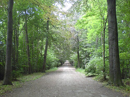 Dieleghem Wood